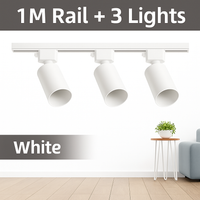Complete set of replaceable LED track lighting for indoor use