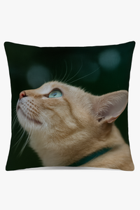 Decorative cushion cover with cute cat pattern