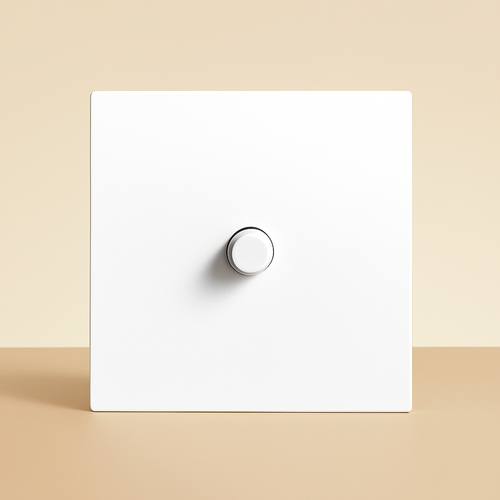 Single 1-gang switch in matt white steel