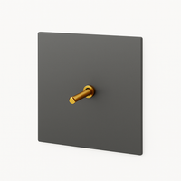 Single switch in brushed grey and gold steel