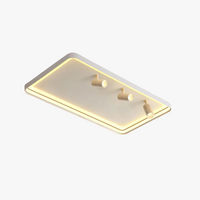 Modern LED ceiling light for living room, bedroom, indoor round, square or rectangular surface mounted lighting
