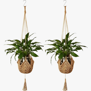 macrame hanging basket for decorative plants
