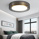 Modern gold LED ceiling light with disc loft design