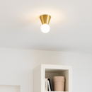Chrome cone and glass globe LED ceiling light