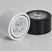 Surface mounted LED ceiling light downlight SMD5730 for indoor lighting