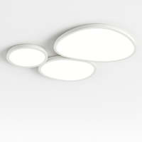 Modern dimmable LED ceiling light for decorative interiors