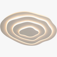 Minimalist white multilayer LED ceiling light