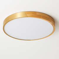 Modern ultra-slim LED ceiling light with remote control for home decor