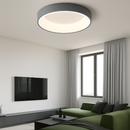 Modern minimalist LED ceiling light with remote control