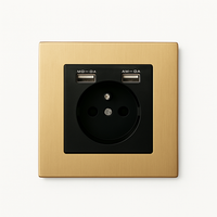 Brushed gold steel electrical socket with double USB