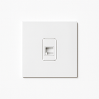Matte white steel RJ45 socket