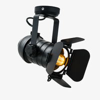 Industrial vintage spotlight