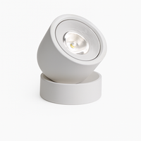 Nordic LED surface mounted folding spotlight