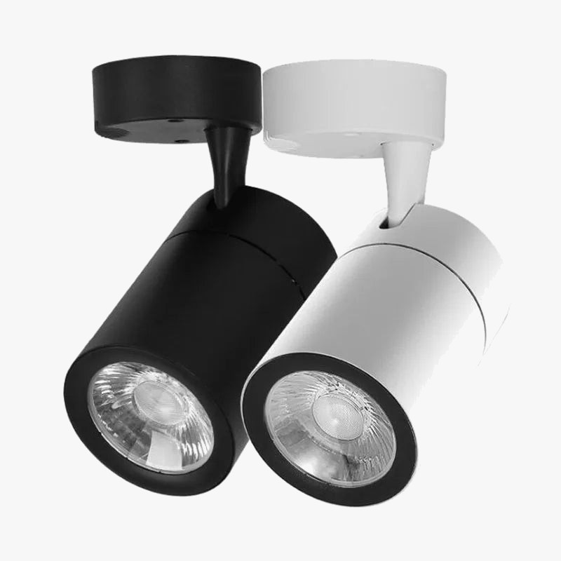 Qiuboss dimmable LED spotlights for loft