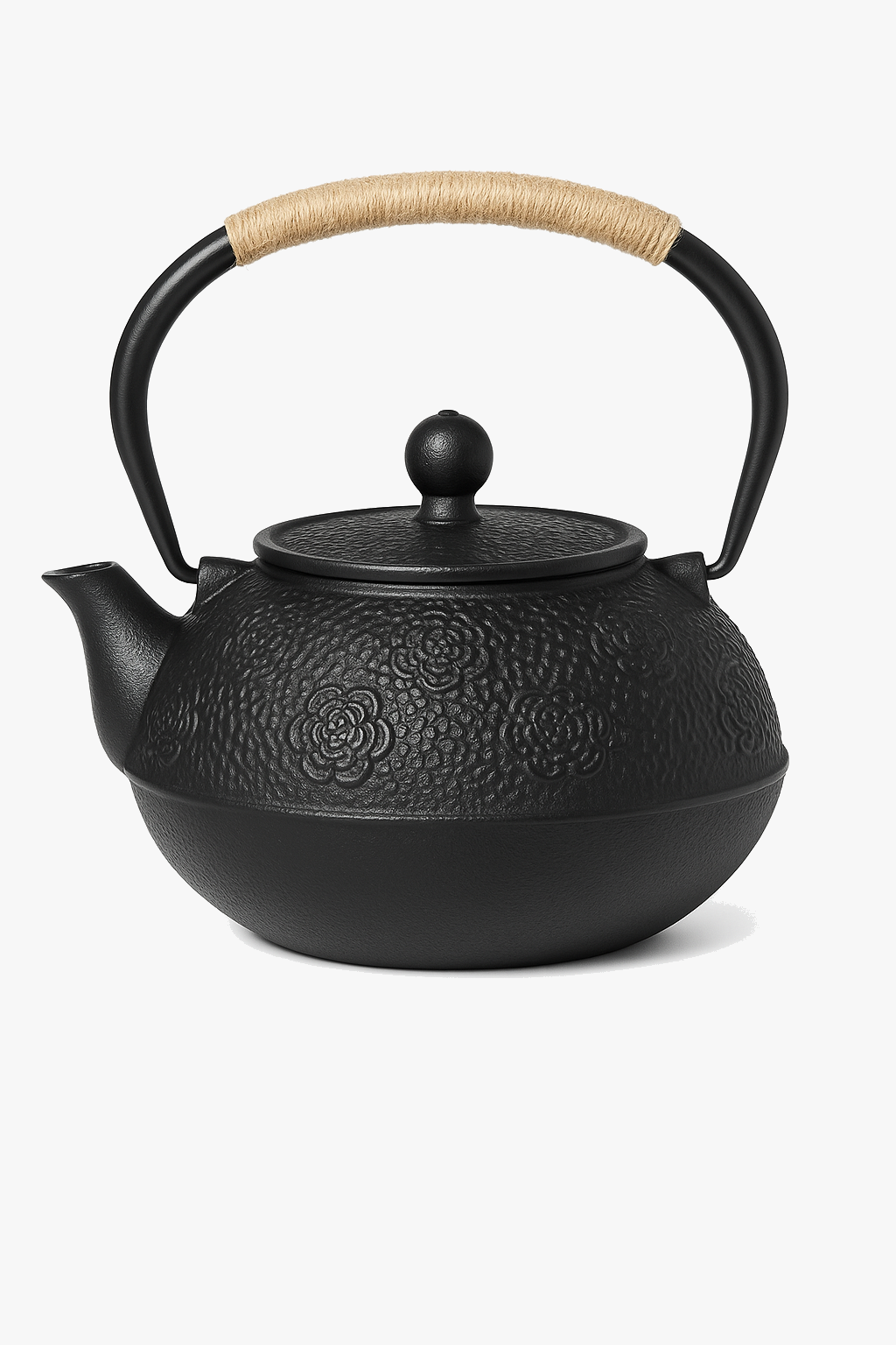 Japanese cast iron tea set with infuser