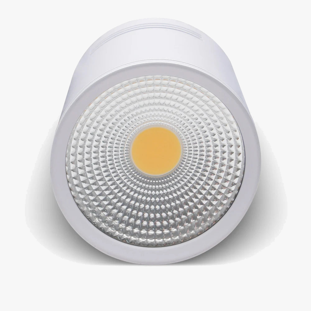 Dimmable led cob spotlight for interior decoration