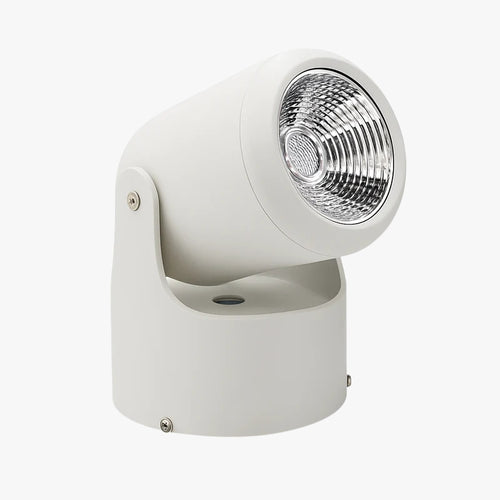 Directional LED spotlight (black or white)