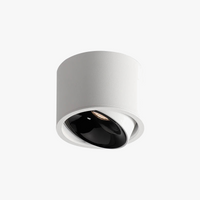 Ultra-thin surface mounted LED spotlight
