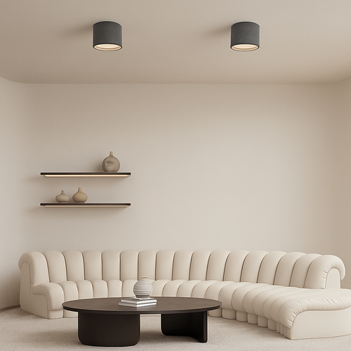 Ceiling spotlights for versatile and modern lighting - vue 6 sur 14