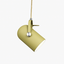 Coloured aluminium pendant spotlight