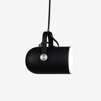 Coloured aluminium pendant spotlight