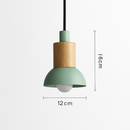 Designer wooden and metal pendant light in various shapes window