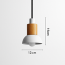 Designer wooden and metal pendant light in various shapes window