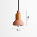 Designer wooden and metal pendant light in various shapes window