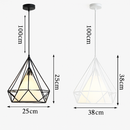 Scandinavian design Birdcage pendant light