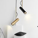 Designer pendant light with adjustable spotlight and gold stem