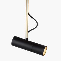 Designer pendant light with adjustable spotlight and gold stem