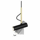 Designer pendant light with adjustable spotlight and gold stem