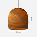 Paper pendant light (various shapes)