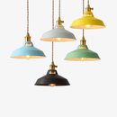 Coloured metal LED pendant light loft