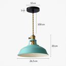 Coloured metal LED pendant light loft