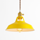 Coloured metal LED pendant light loft