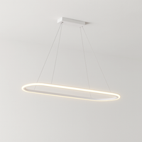 Modern LED pendant light for elegant interior decoration