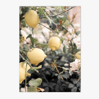 Bellagio canvas painting for Mediterranean wall decoration