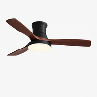 Low profile ceiling fan with LED light and electric control
