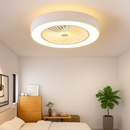 Modern ceiling fan with LED light and remote control