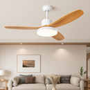 Modern ceiling fan with light, remote control and adjustable LED