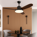 Modern ceiling fan with light, remote control and adjustable LED