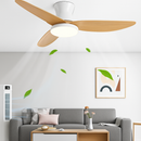 Modern ceiling fans with continuous motor and remote control