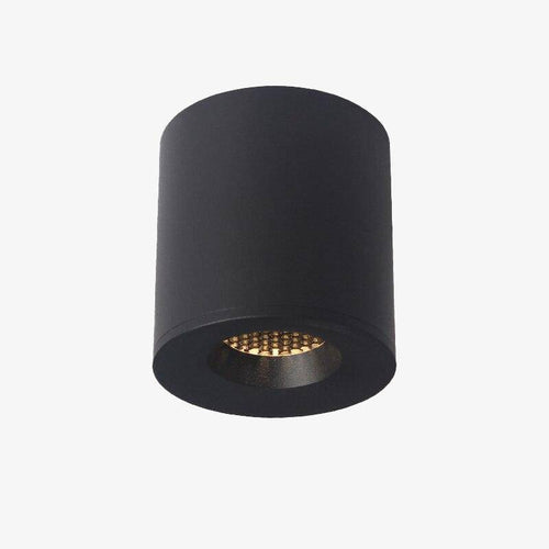 Loft-style metal cylinder LED spotlight