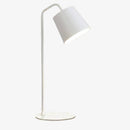 Modern LED desk lamp with colored metal lampshade Study