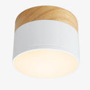 Modern round LED spotlight with wooden base loft
