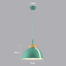 Colourful half-dome LED pendant light loft