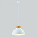 Colourful half-dome LED pendant light loft