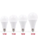 E27 LED bulb (3 to 20W)