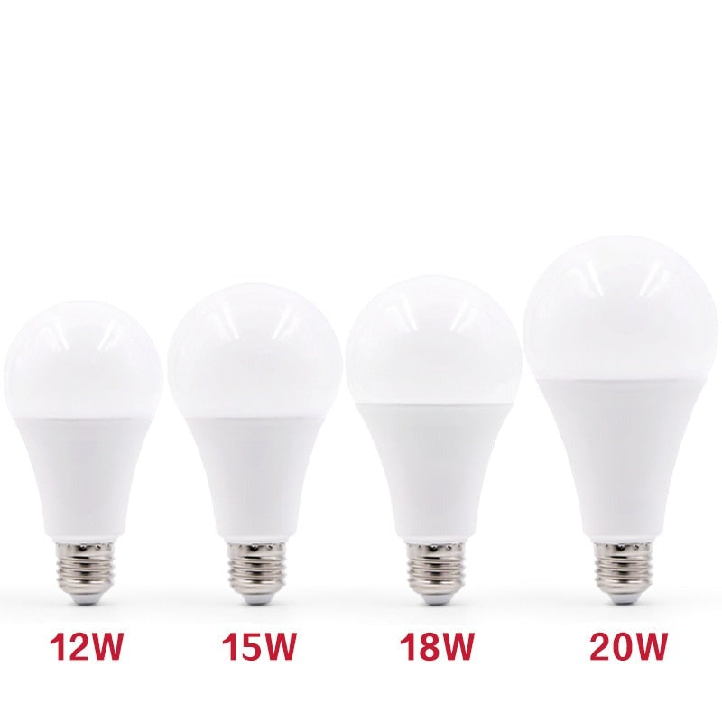 E27 LED bulb (3 to 20W)